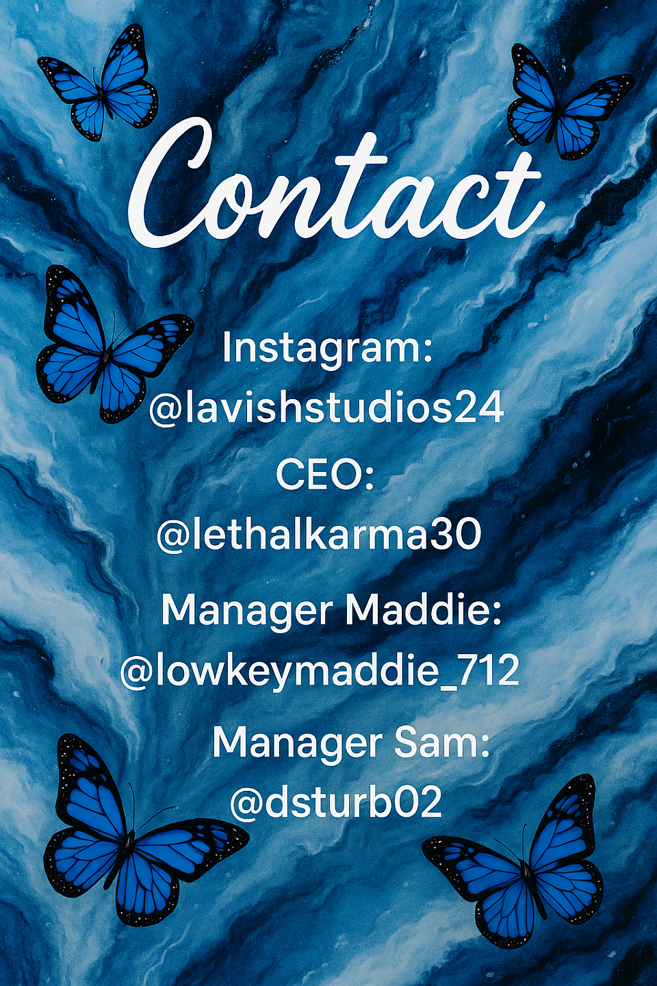 Email: lavishstudios24@gmail.com
